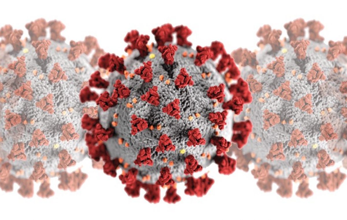 U PGŽ 22 nova slučaja zaraze koronavirusom, na Krku 0