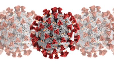 U PGŽ 8 novih slučajeva zaraze koronavirusom, 11 osoba ozdravilo. Krk i dalje bez novozaraženih