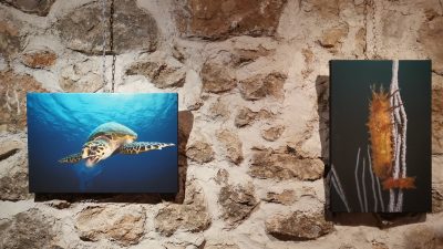 Izložba fotografija Podvodnog foto maratona u galeriji TOŠ