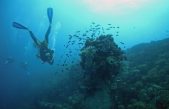 Krčko podmorje: Znanstveno-stručni skup na temu Pismenost funkcioniranja ekosustava Jadranskog mora