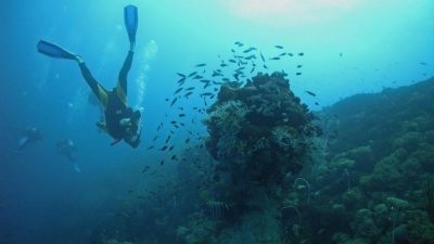 Krčko podmorje: Znanstveno-stručni skup na temu Pismenost funkcioniranja ekosustava Jadranskog mora