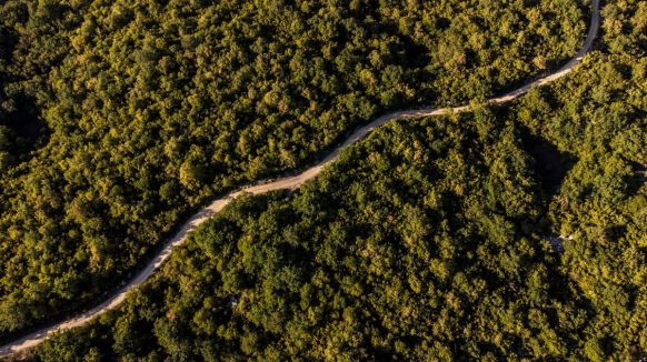 Strojevima devastirao šumu na Krku, šteta je 7700 eura