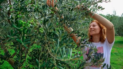 Jedinstvena Olive touch priča u Malinskoj spaja masline i wellness za tijelo – ali i nepce