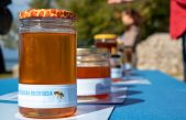 3. Zeleno-plava pčelarska orijentacija u Omišlju: Kako razlikovati pravi od lažnog meda?