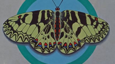 Otok Krk, otok leptira: Malinska je dobila novi, sasvim poseban mural