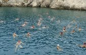 Nakon dvije godine pauze, održan 20. amaterski plivački maraton Vrbnik-Risika