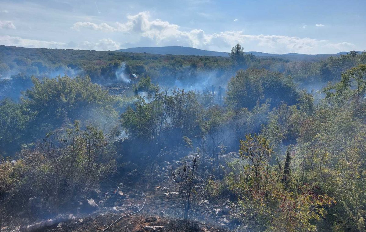 FOTO U požaru na Krku izgorjelo 5000 četvornih metara šume i niskog raslinja