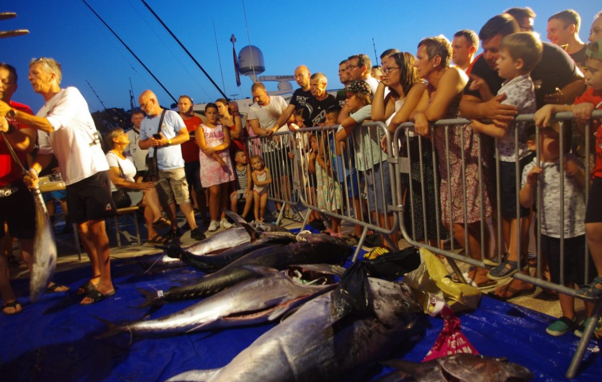 Dinamičan BIG OM dan uljepšala tuna od impresivnih 90 kilograma