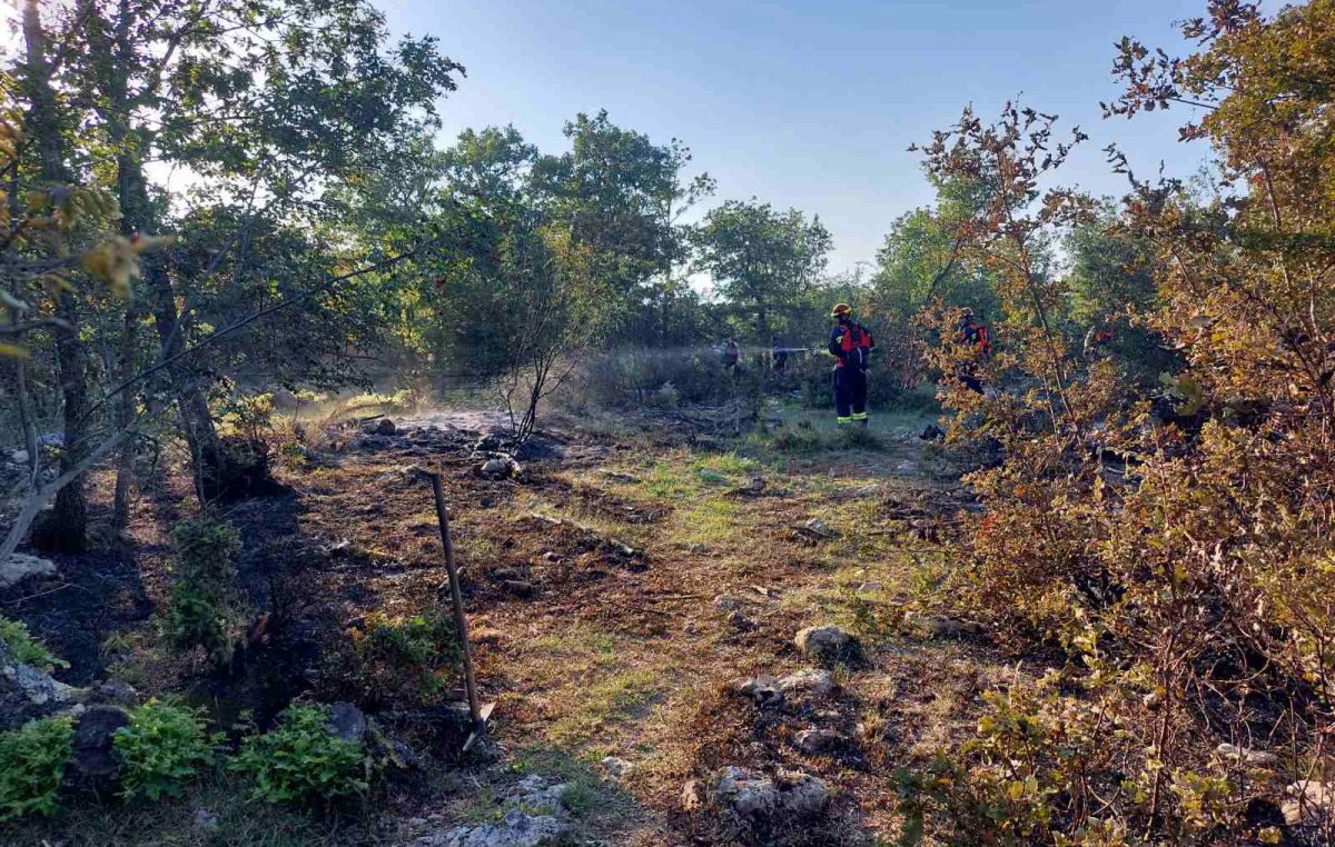 FOTO Veliki požar kod Kampelja, planulo je nakon puknuća stupa dalekovoda