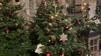 Kamo odložiti raskićeno božićno drvce?