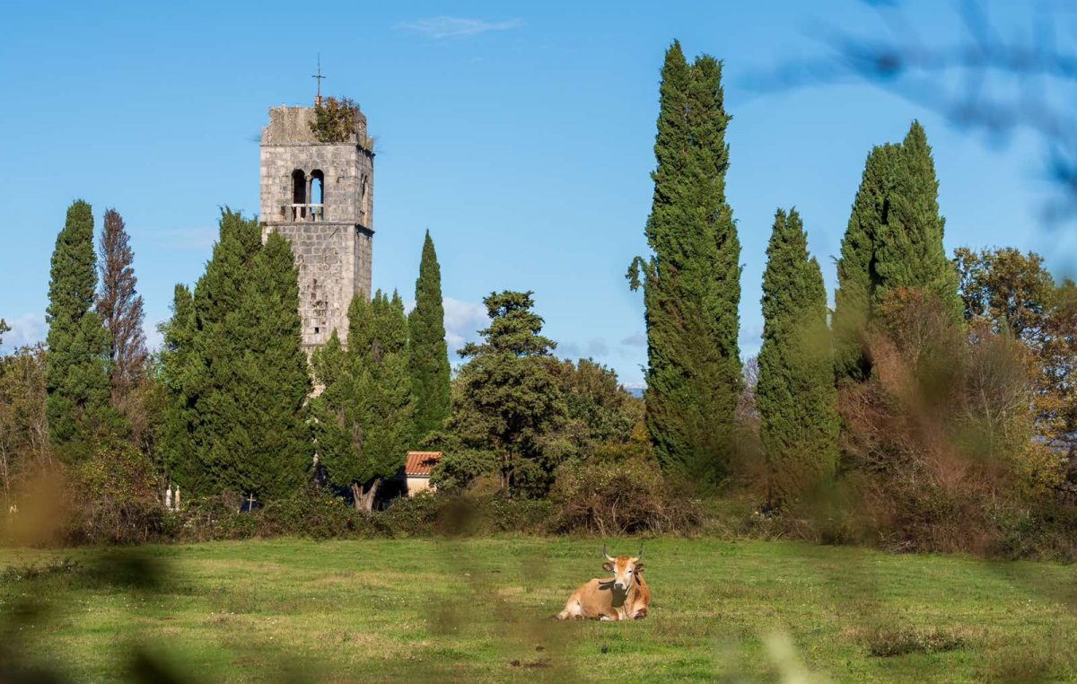 Novo ruho za stari zvonik sv. Apolinara; istraživat će se prahistorijsko naselje Gradina iznad uvale Čavlene