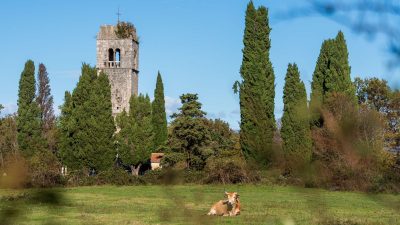 Novo ruho za stari zvonik sv. Apolinara; istraživat će se prahistorijsko naselje Gradina iznad uvale Čavlene