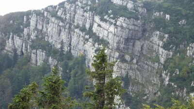 Risnjak u top pet najboljih europskih nacionalnih parkova
