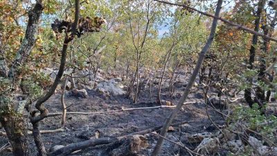 [FOTO] Krčki vatrogasci sudjelovali u gašenju požara kod Hreljina