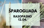 Dobrinjština: Šparogijada i natjecanje u kuhanju brodeta