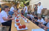 Rokova u Dragi Bašćanskoj: 3. Zlatni pomidor iznjedrio kapitalca od 1142 grama
