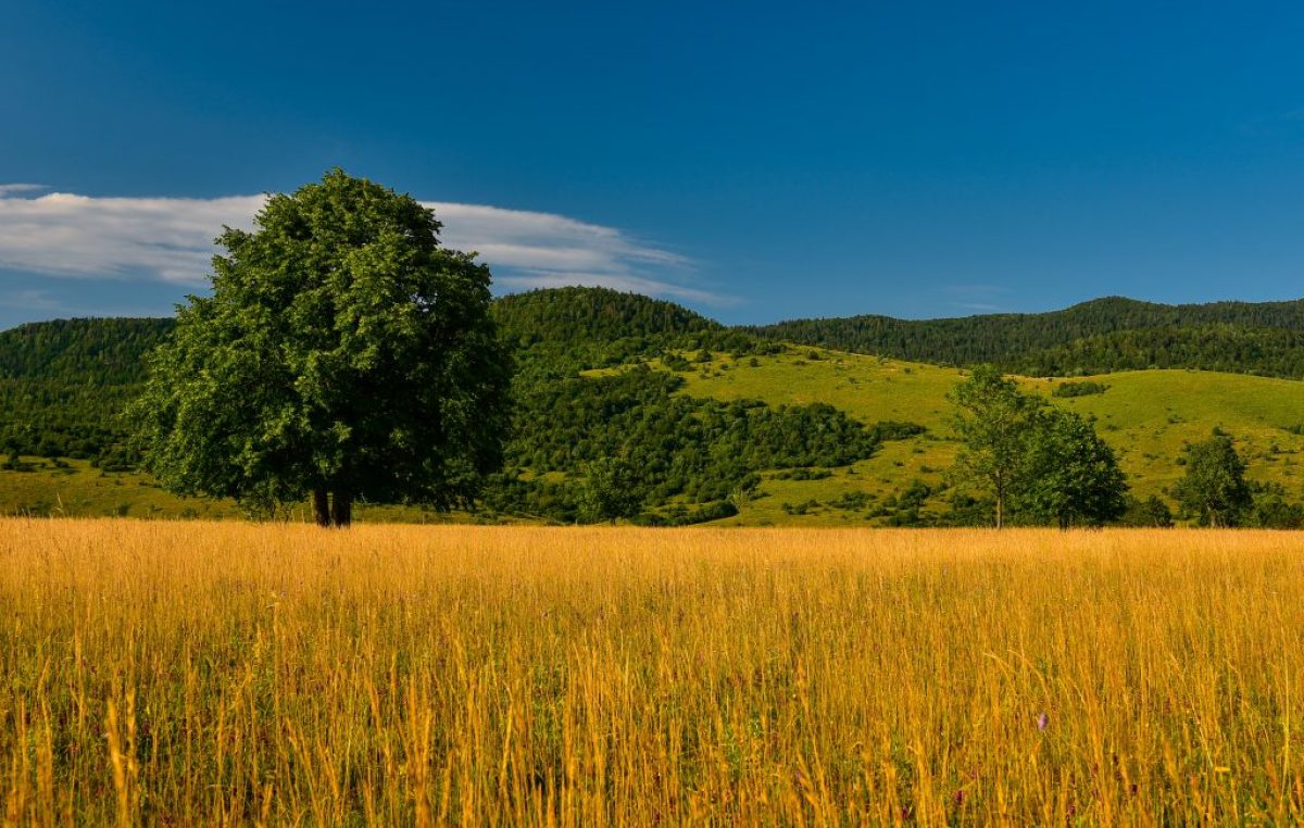 Proglašeni pobjednici foto natječaja za kolovoz, tema za rujan “dozrela je jesen, krenuli smo u školu, rekreiramo se šetnjama uz more ili u parku”