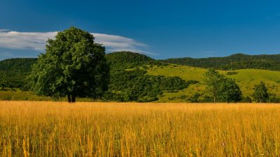 Proglašeni pobjednici foto natječaja za kolovoz, tema za rujan “dozrela je jesen, krenuli smo u školu, rekreiramo se šetnjama uz more ili u parku”