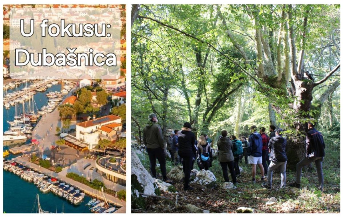 Prirodna baština i tradicija: Šume Dubašnice privlače pažnju međunarodnih stručnjaka