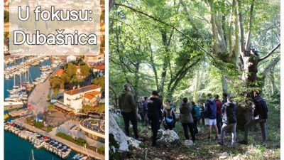 Prirodna baština i tradicija: Šume Dubašnice privlače pažnju međunarodnih stručnjaka
