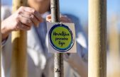 Hrvatska prirodno tvoja: I TZ Grada Krka priključila se vrijednom projektu sadnje stabala