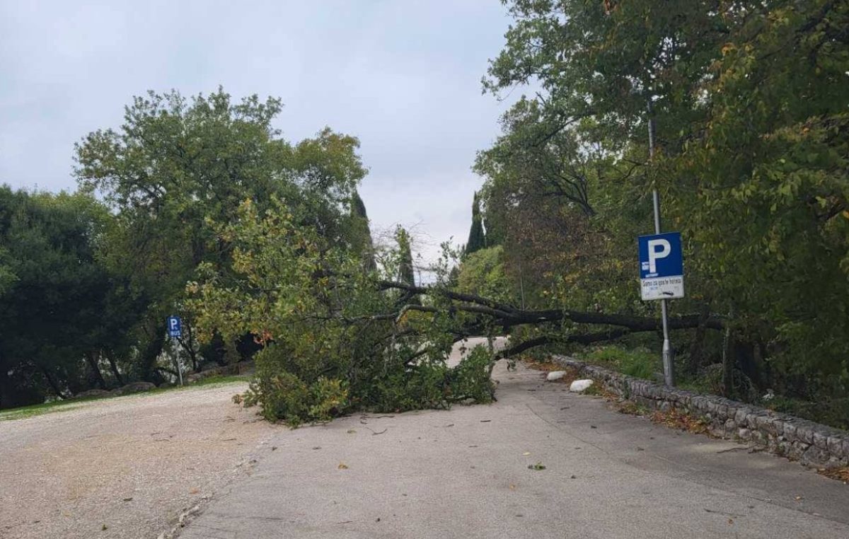 Jaka bura na Krku srušila nekoliko stabala, interveniralo je i “bura vozilo”