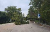 Jaka bura na Krku srušila nekoliko stabala, interveniralo je i “bura vozilo”