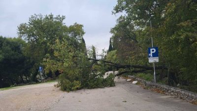 Jaka bura na Krku srušila nekoliko stabala, interveniralo je i “bura vozilo”