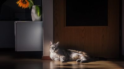 Proglašeni pobjednici foto natječaja za listopad, objavljena tema za prosinac