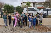 [FOTO] Zelena akcija u Korniću: Mališani pomogli posaditi autohtone murve