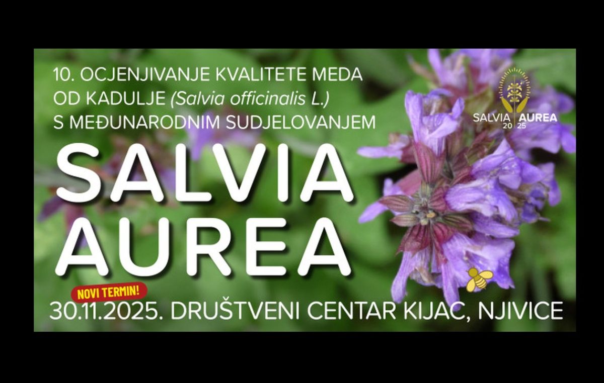 Salvia Aurea 2025: U Kijcu se ove nedjelje bira najbolji med od kadulje