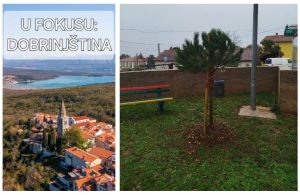 Na području Dobrinjštine posađene sadnice 10 mladih stabala
