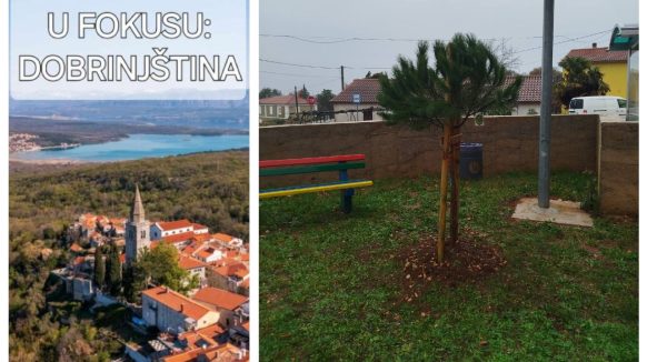 Na području Dobrinjštine posađene sadnice 10 mladih stabala