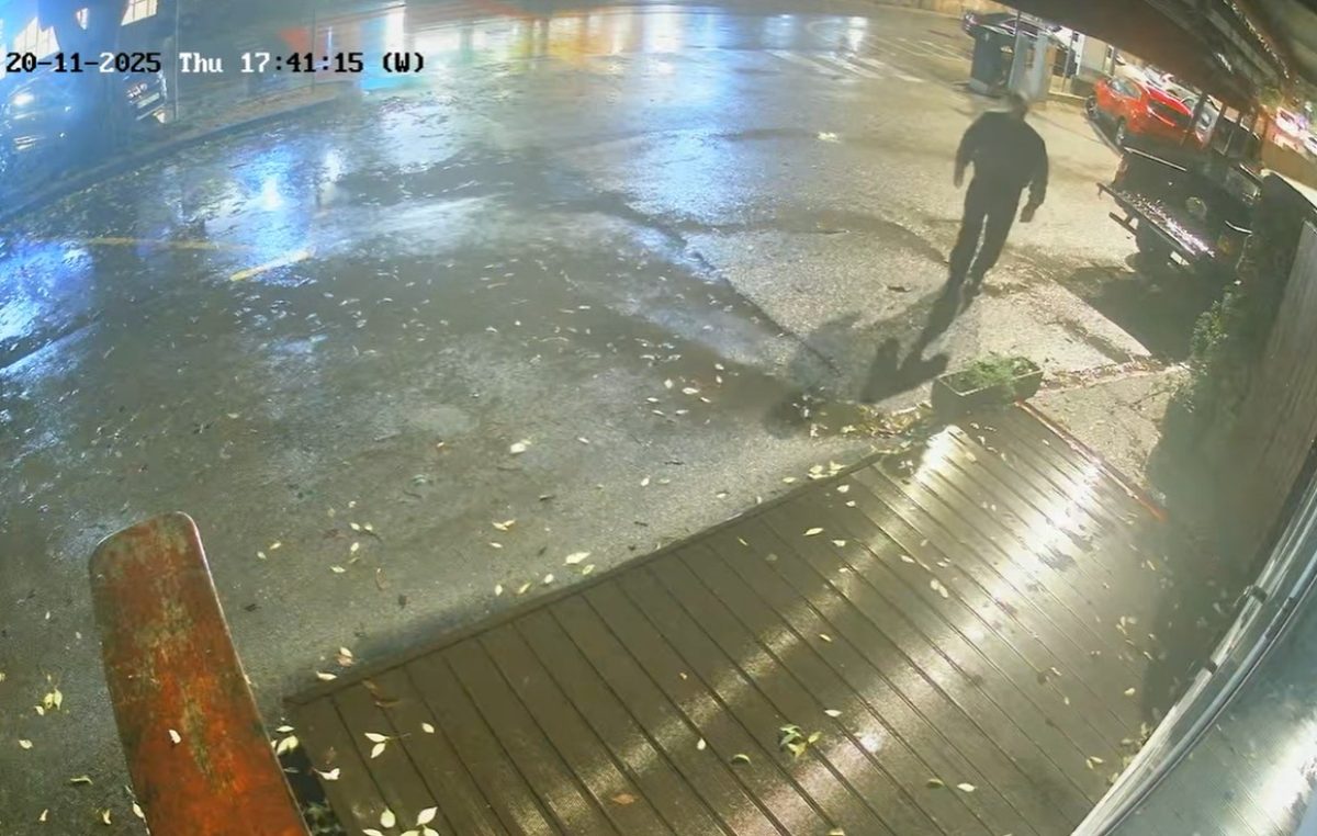 [VIDEO] Nakon “zlatnog” umivaonika, kamera je uhvatila još jednu bizarnu krađu usred grada Krka