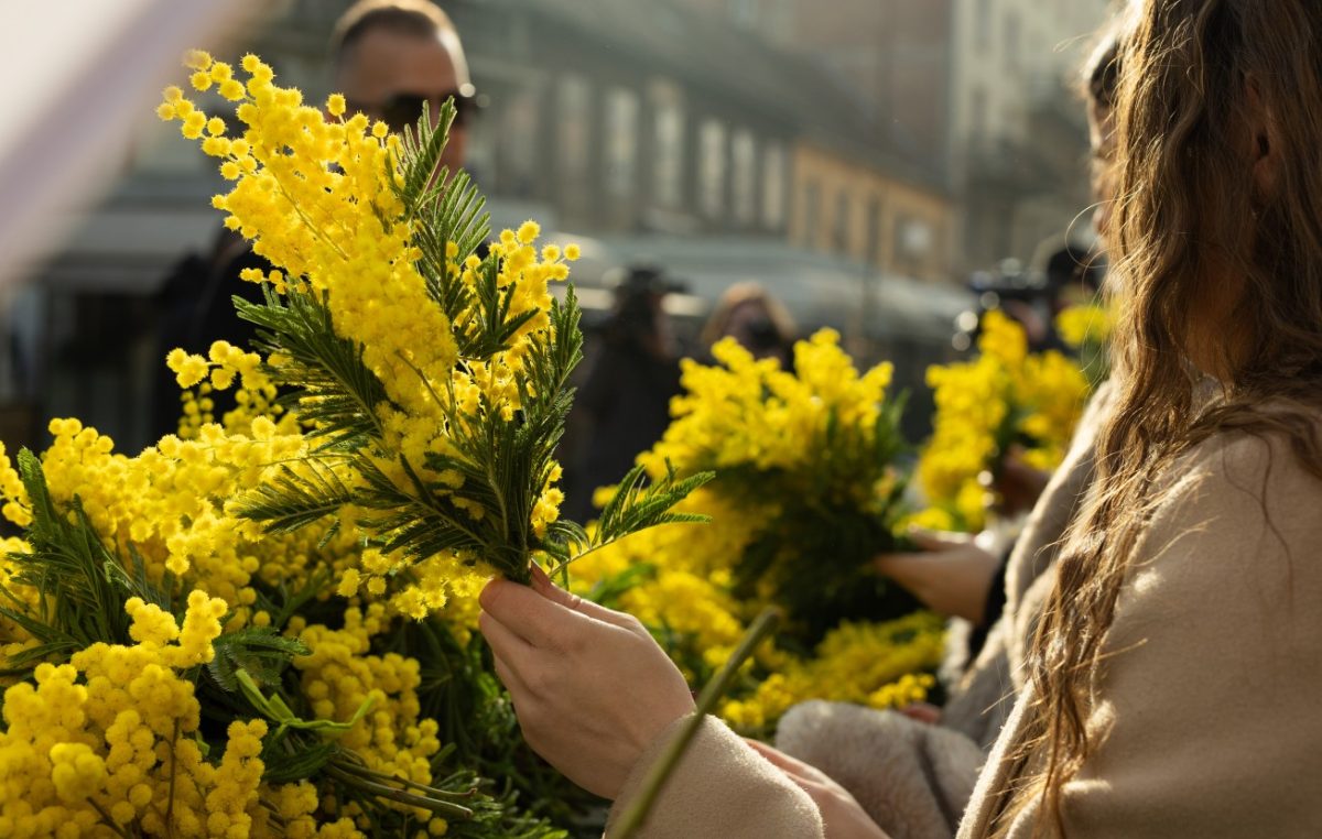 Održan 19. Dan mimoza