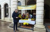 Obilježen 19. Dan mimoza na Korzu: Prevencija spašava živote