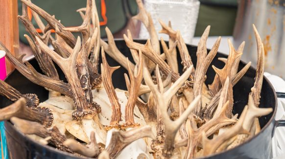 Bikova jaja, rogi va padele, ciroza na kruhu… Jeste li dovoljno hrabri? :D