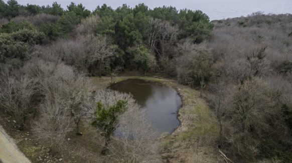 U Dubašnici se aktivno radi na očuvanju prirodnih staništa i kulturne baštine