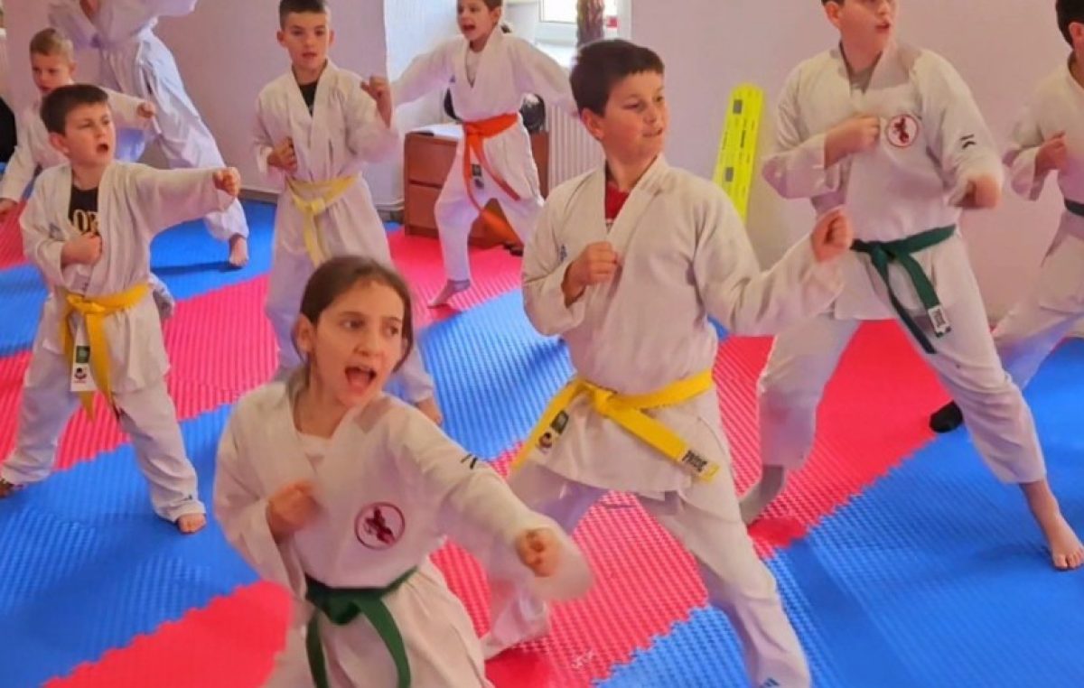 Krčki karatisti na Zimskom karate seminaru u Fužinama