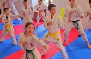 Krčki karatisti na Zimskom karate seminaru u Fužinama