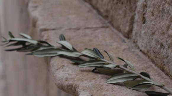 Maslinska nedjelja u Puntu u znaku procesije; odgođena akcija uređenja Košljuna