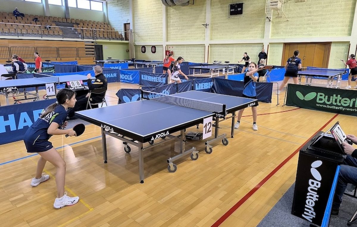 Pet odličja za krčke stolnotenisače na Kupu Grada Krapine