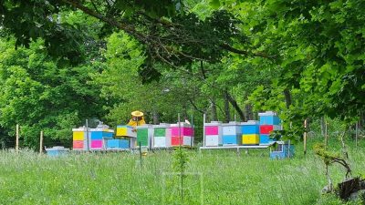 Poreč domaćin 7. Međunarodnog simpozija o pčelinjim proizvodima