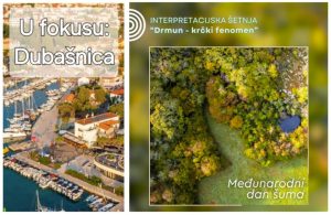 Međunarodni dan šuma u Dubašnici: interpretacijska šetnja „Drmun – krčki fenomen”
