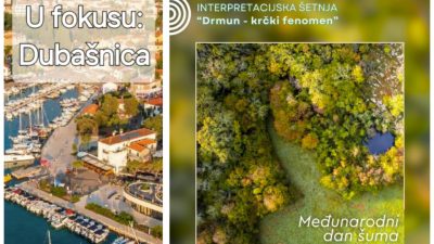 Međunarodni dan šuma u Dubašnici: interpretacijska šetnja „Drmun – krčki fenomen”