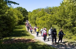 [PROGRAM] Aktivno proljeće uz Njivice Outdoor Weekend