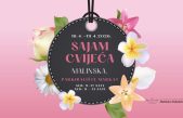 Sajam cvijeća ovog vikenda u Malinskoj