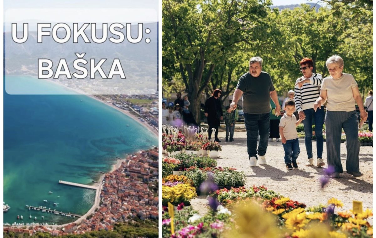 [FOTO] Od pupoljka do impresivnog cvijeta: Baška rožica na najljepši način proslavila 10. rođendan