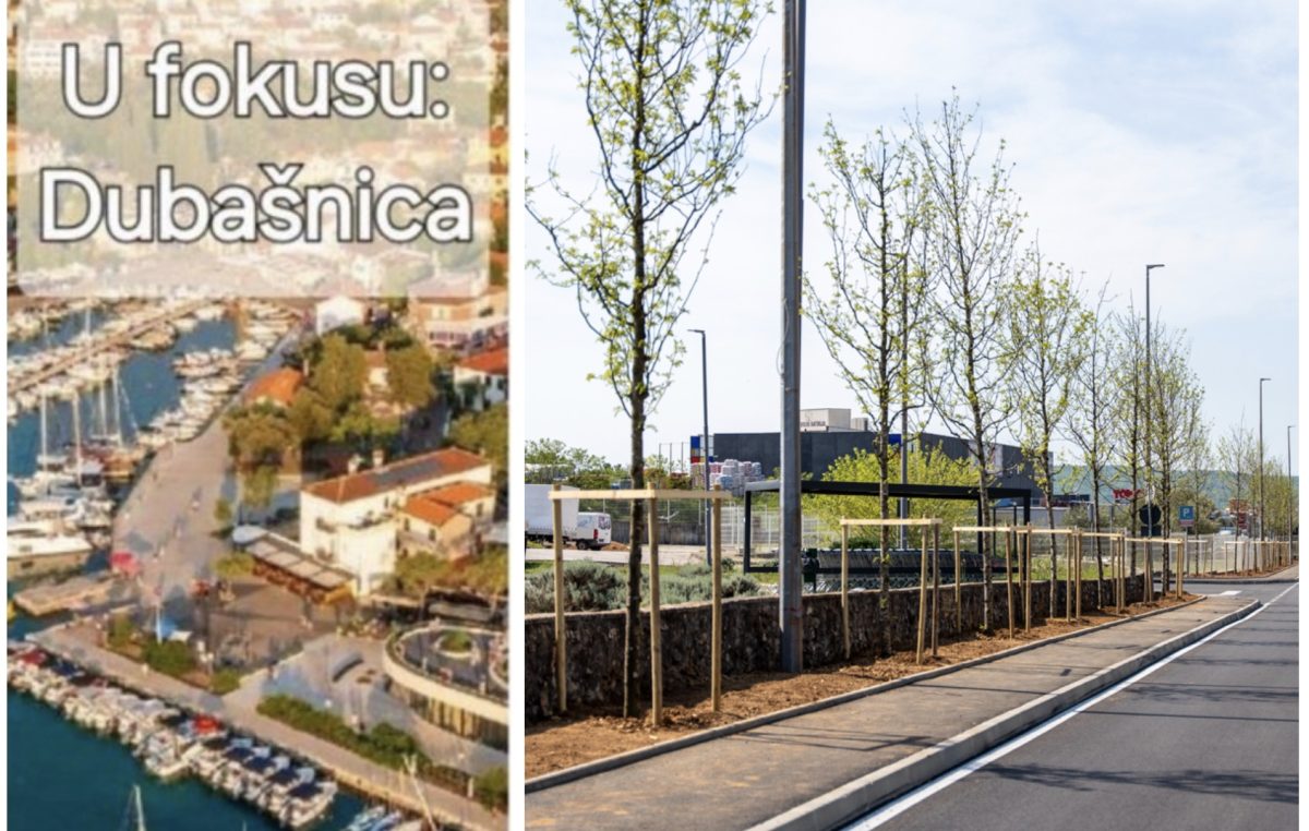 [FOTO] Zelena dobrodošlica: Malinska je dobila novi drvored