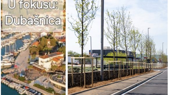 [FOTO] Zelena dobrodošlica: Malinska je dobila novi drvored